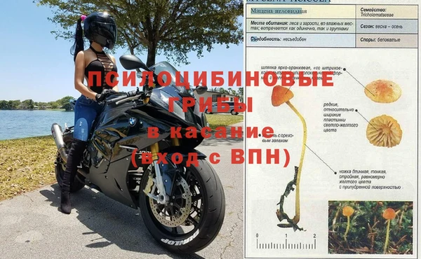дурь Алексин