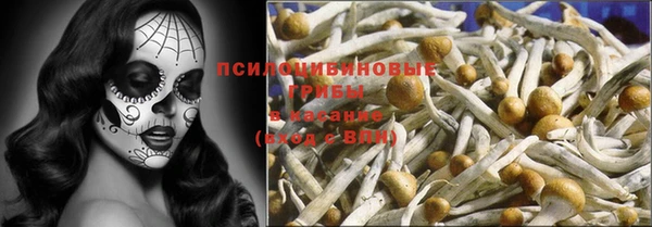дурь Алексин