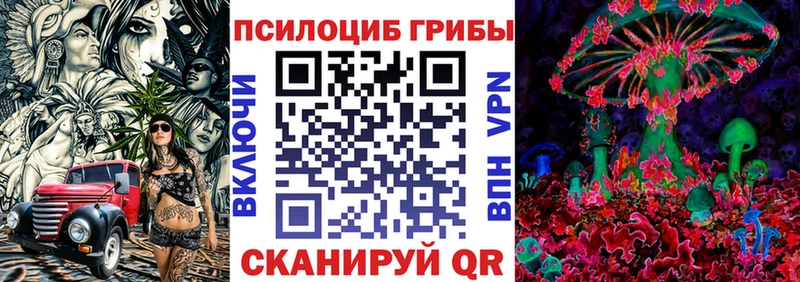 Галлюциногенные грибы Psilocybe Аркадак